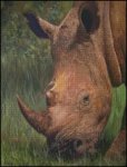 (image for) Rhino with Bird